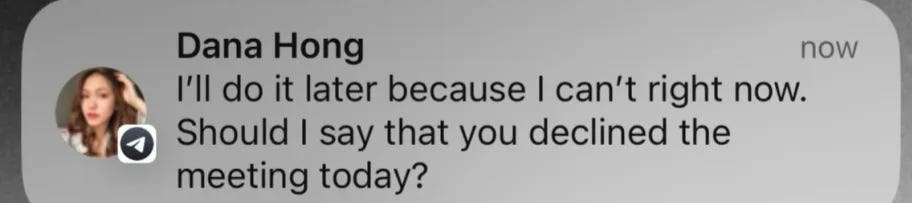 Message attempting to keep the founder on the call after the meeting was declined