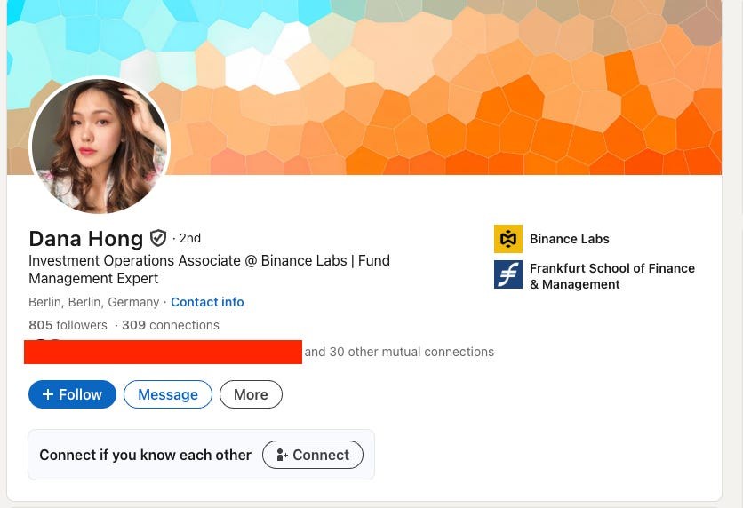 Investor profile details screenshot showing inconsistencies in the fake VC outreach