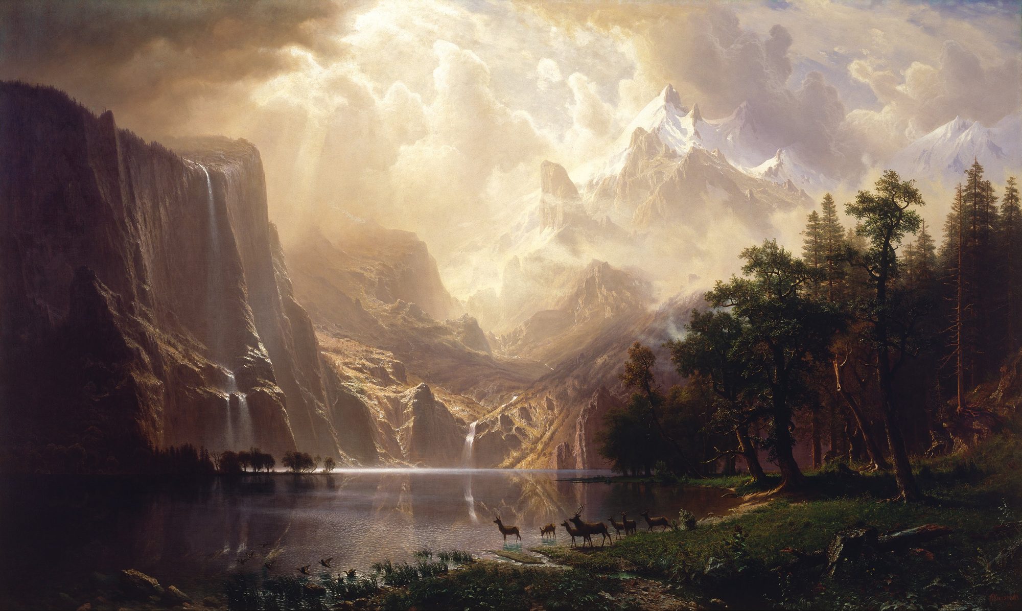 Who Sees the Company First? cover artwork